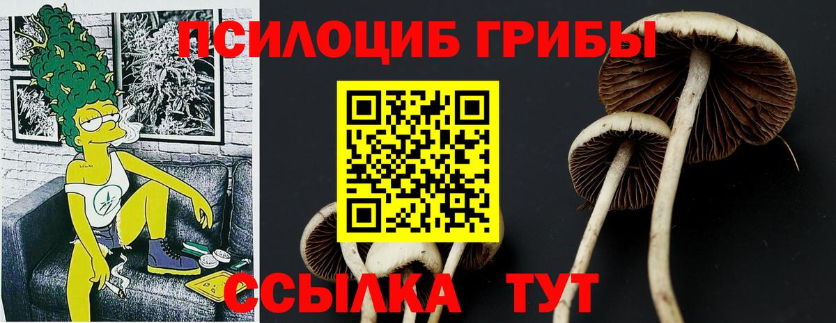 Галлюциногенные грибы Cubensis  Вход с VPN  цены   Наро-Фоминск  Галлюциногенные грибы Magic Shrooms 